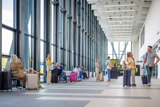 Šta nedostaje niškom aerodromu da dostigne pun potencijal?